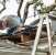Sterling 24 Hour Emergency Roofing by Clean Cut Home Remodeling